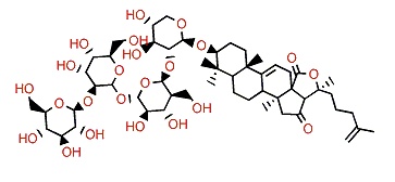 Apostichoposide B